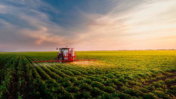 Инвесторы скупают американские сельскохозяйственные угодья, чтобы защититься от инфляции