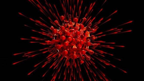Исследователи сообщают, что коронавирус мог возникнуть в США в середине декабря 2019 года