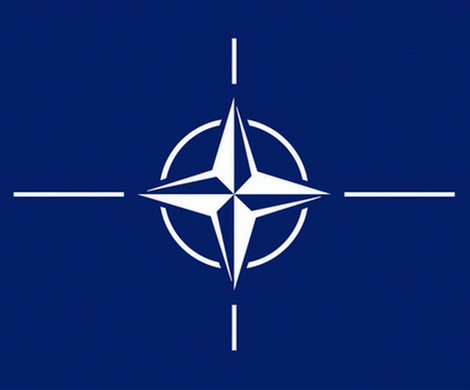 Ихтамнет: НАТО уже на Украине