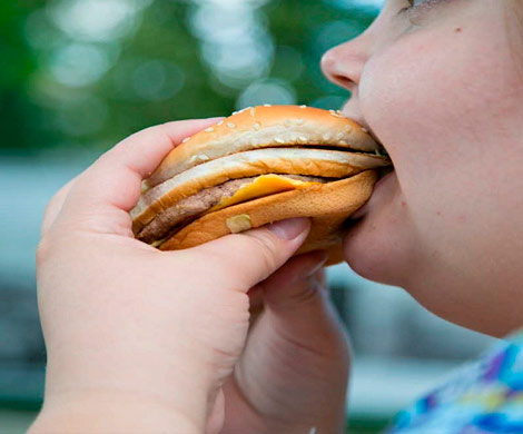 Из-за переедания 40% россиян страдают ожирением