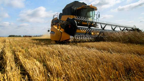 Из-за сухой зимы и дождливой весны в США пострадал урожай пшеницы, усугубив нехватку продовольствия в мире