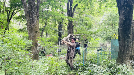 Казаки примут участие в расчистке ставропольского Даниловского кладбища