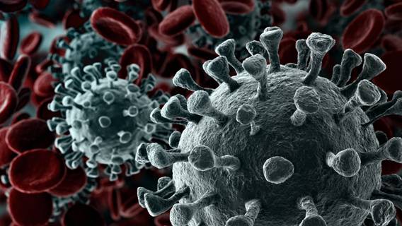 Китай отверг предложенный план ВОЗ по расследованию происхождения коронавируса
