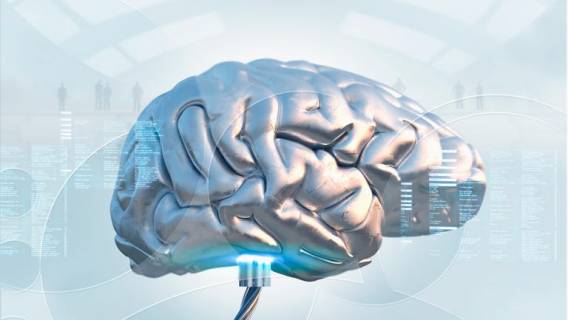 Китай загрузил мозг обезьяны в суперкомпьютер. Прорыв или преувеличение?