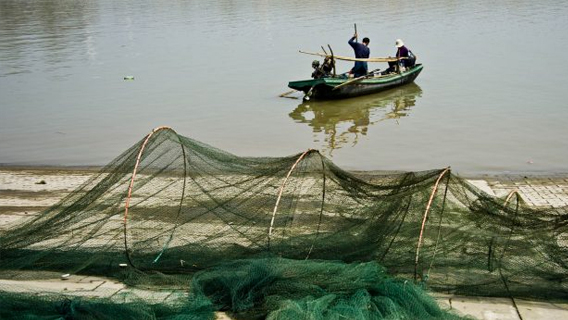 Китай запретил ловлю рыбы в реке Янцзы