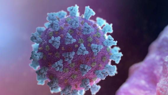 Летом коронавирус уйдет, но зимой может проявиться снова: эпидемиолог оценил ситуацию с COVID-19