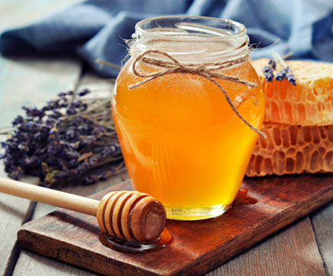 Медовый Спас – время собирать мед