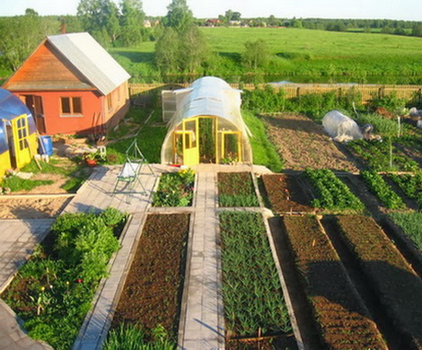 Медведев: новый закон облегчит жизнь садоводов