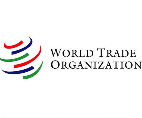 Медведев обеспокоен судьбой ВТО