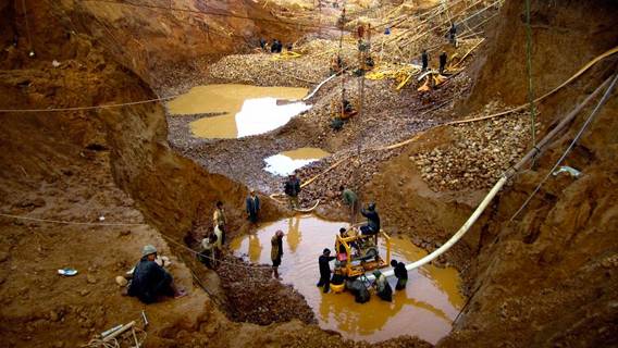 Международные экологи должны пресечь нарушения золотодобытчиков на Камчатке