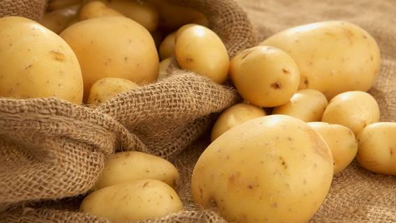 Минсельхоз: российские производители понизили цены на картофель на 23,5%