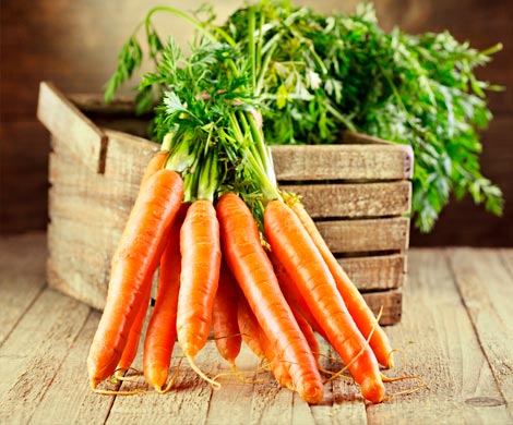 Морковь помогает противостоять раку