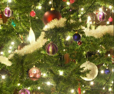 Москвичка украла у старушки наряженную новогоднюю елку‍