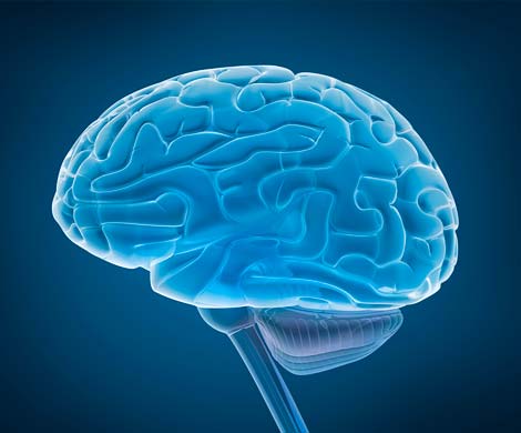 Мозг человека может восстановиться самостоятельно