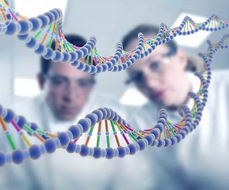 Мысли человека способны изменить генетический код