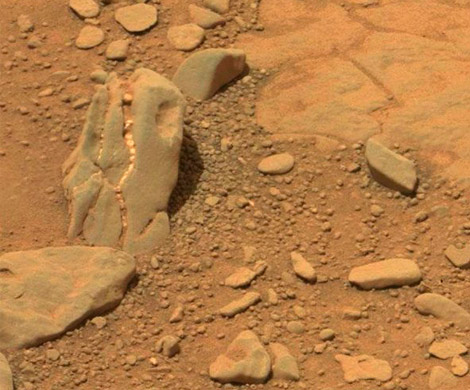 На Марсе нашли останки динозавров