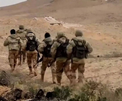 «На помощь Сирии»: ЧВК «Вагнера» готовят антитеррористическую операцию