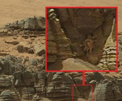 На поверхности Марса обнаружен гигантский краб