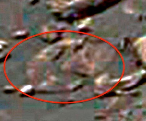 На снимках с поверхности Марса нашли загадочное лицо
