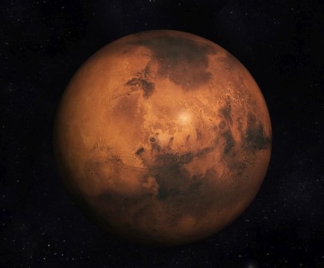 NASA все же удалось найти жизнь на Марсе