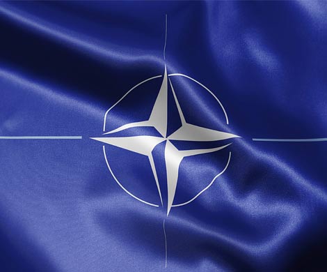 НАТО отработало кибератаки и похищение семьи офицера