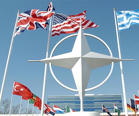 НАТО поддерживает турецкую сторону в отношении сбитого ими самолёта Су-24