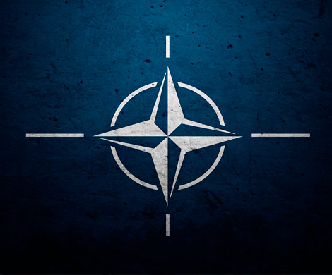 НАТО впервые проведет на Украине заседание Парламентской ассамблеи
