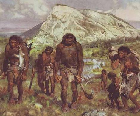 Неандертальские женщины ходили на охоту и выполняли домашнюю работу