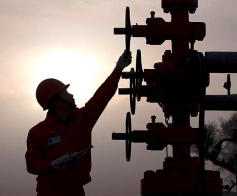 Нефтяники просят президента ограничить информацию для миноритариев
