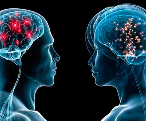 Обнаружено одно из главных отличий женского мозга от мужского