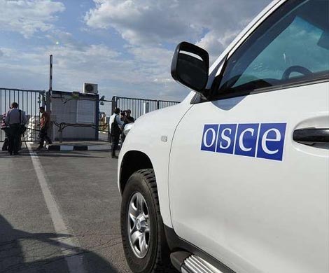 ОБСЕ намерено увеличить на Украине число наблюдателей с функциями миротворцев