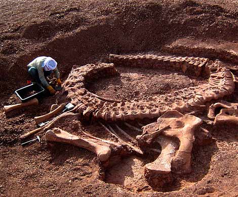Останки карликовой копии динозавра были найдены в Арктике