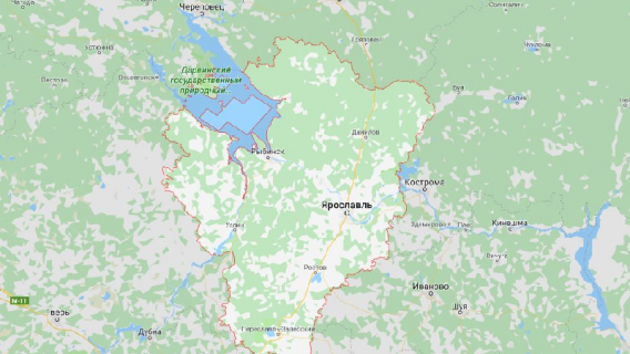 Ожидаемая продолжительность жизни в Ярославской области ниже, чем в других российских регионах