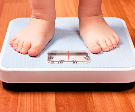 Ожирение в младенчестве ухудшает когнитивные способности