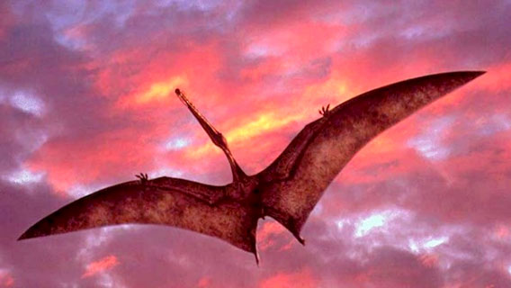 Палеонтологи обнаружили еще одного представителя летавших птерозавров