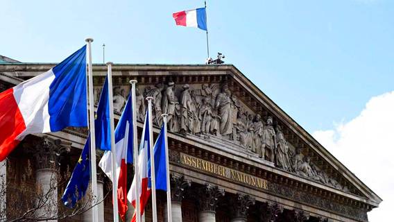 Парламент Франции одобрил законопроект о возвращении предметов искусства, украденных нацистами