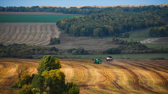 По словам украинских фермеров, российский олигарх захватил 400 тыс. акров украинских сельскохозяйственных угодий