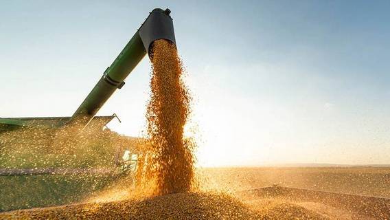 Почему продление зерновой сделки затягивается 