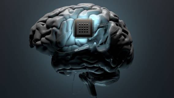 Поле боя в человеческом сознании: как нейронаука открывает путь к оружию, контролирующему разум