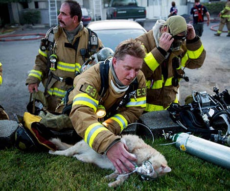 Маски для пожарных: респираторы, самоспасатели и противогазы