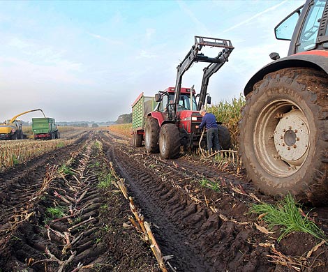 Правительство перечислило  регионам более 30 млрд рублей на развитие сельского хозяйства