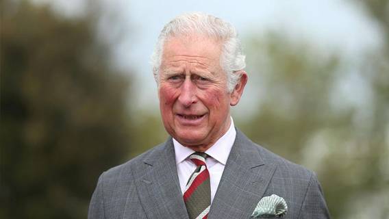 Принц Чарльз собирается открыть дворцы для публики, когда станет королем