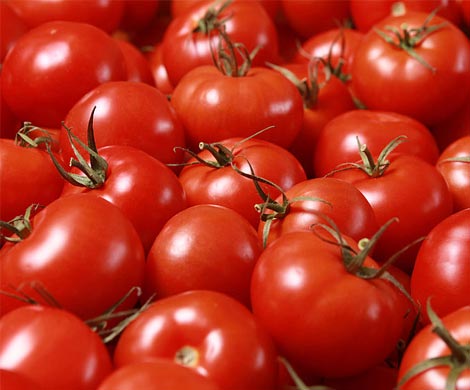 Происходит  рост поставок томатов из Абхазии