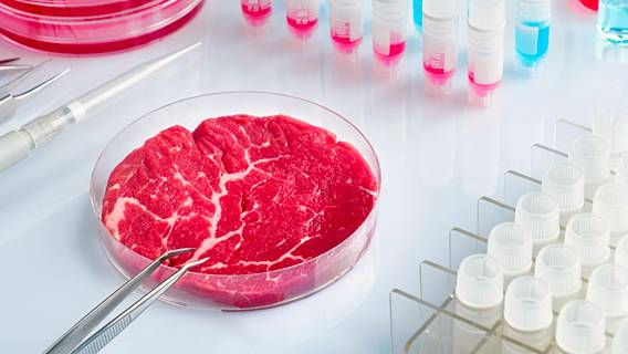 Производители искусственного мяса США получают разрешения на продажу своей продукции