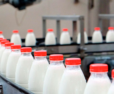 Производители соли и молока не выполнили задание государства
