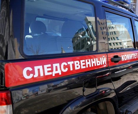Пропавшую в Подмосковье девочку могли убить ее приемные родители Пропавшую в Подмосковье девочку могли убить ее приемные родители