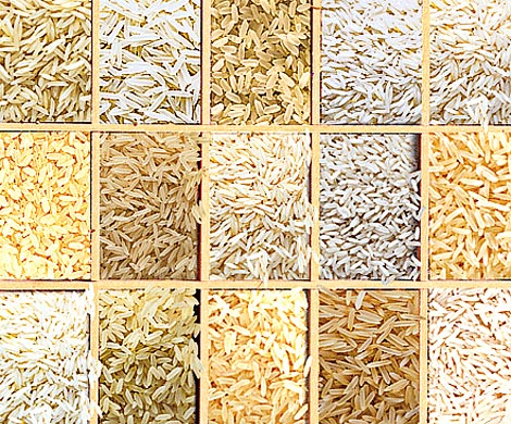 Разные сорта риса помогают от разных болезней