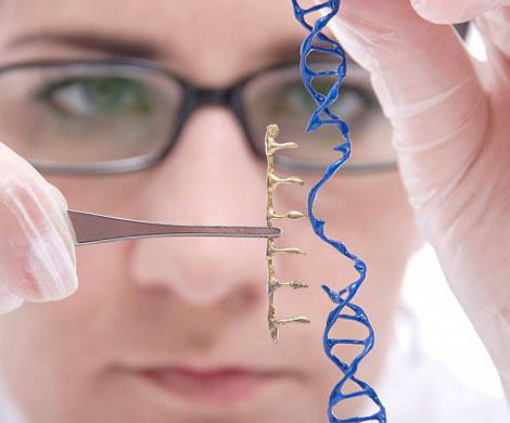 Редактирование генома послужит исчезновению гениев
