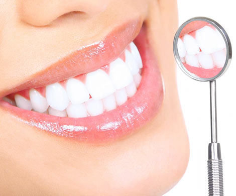 Регенерация зубов – это реально?