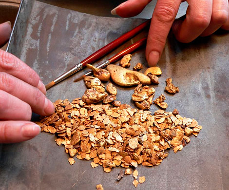Российские ученые нашли дешевый способ добычи золота из руды‍